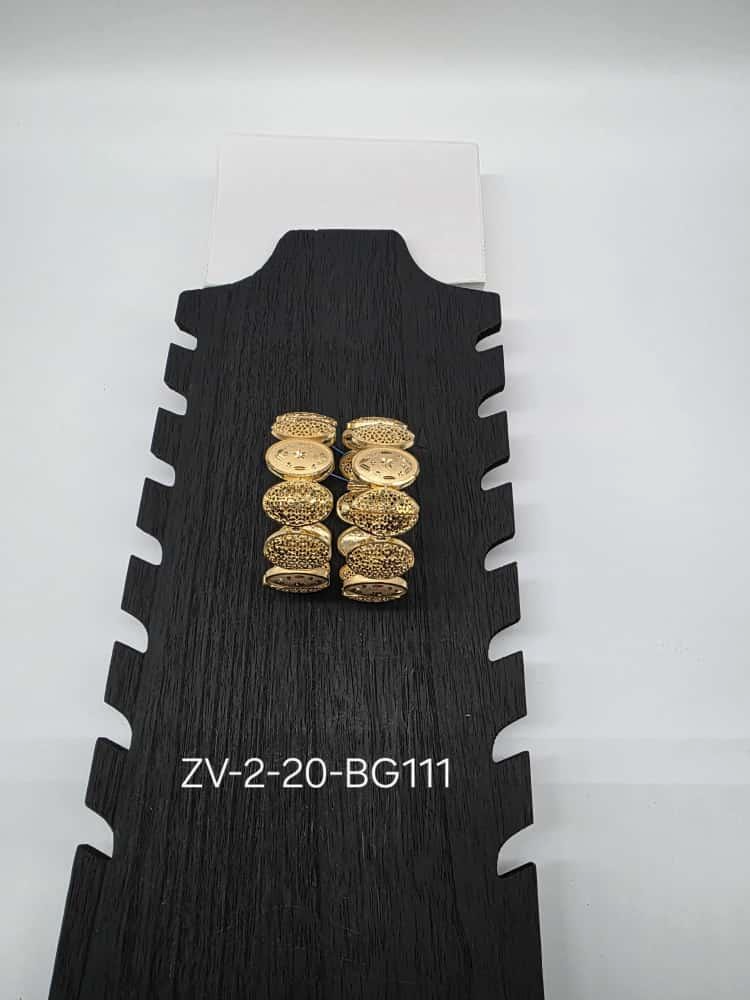 Elegant 2 Piece Set for Bridal, Festive & Cultural Wear